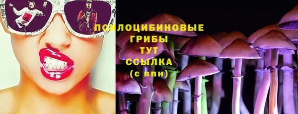 мяу мяу мука Алзамай
