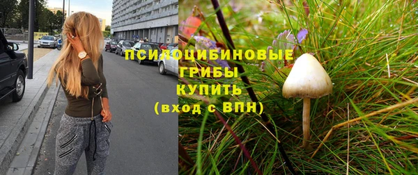 синтетический гашиш Арсеньев
