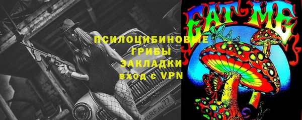 МДПВ Алексин