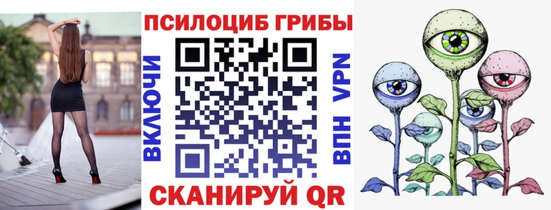 Галлюциногенные грибы Psilocybine cubensis  где купить наркоту  Туринск 